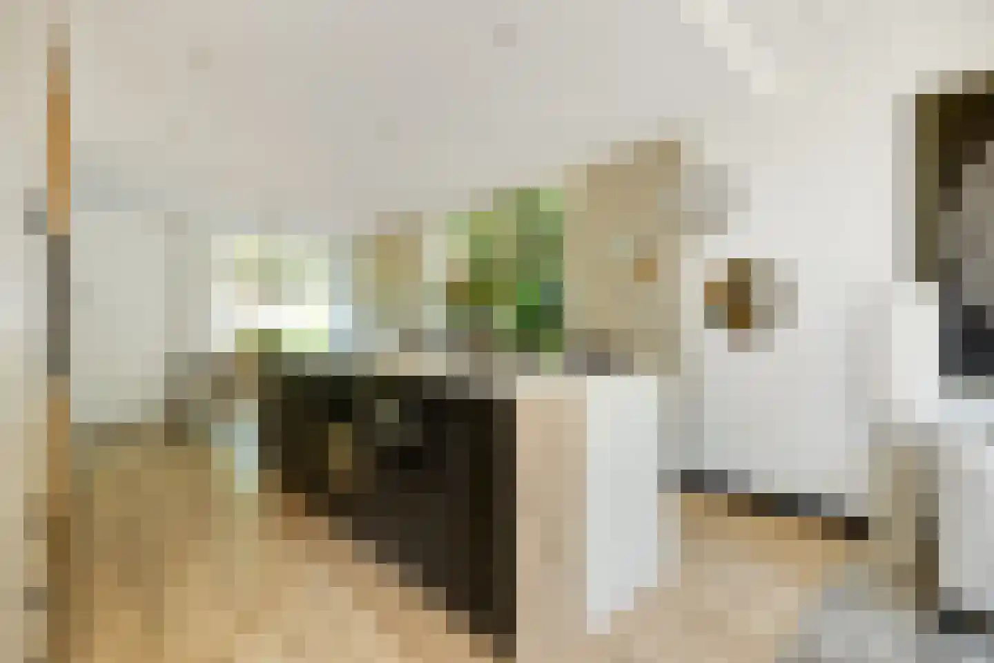 Lijsterbeslaan 14 Vught thumbnail 9