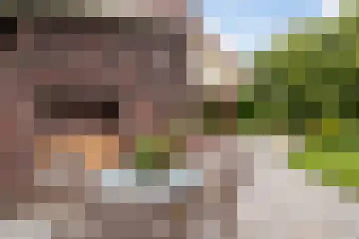 Lijsterbeslaan 15 Doesburg thumbnail 15