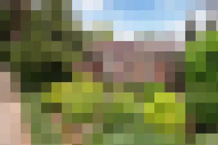 Lijsterbeslaan 15 Doesburg thumbnail 19