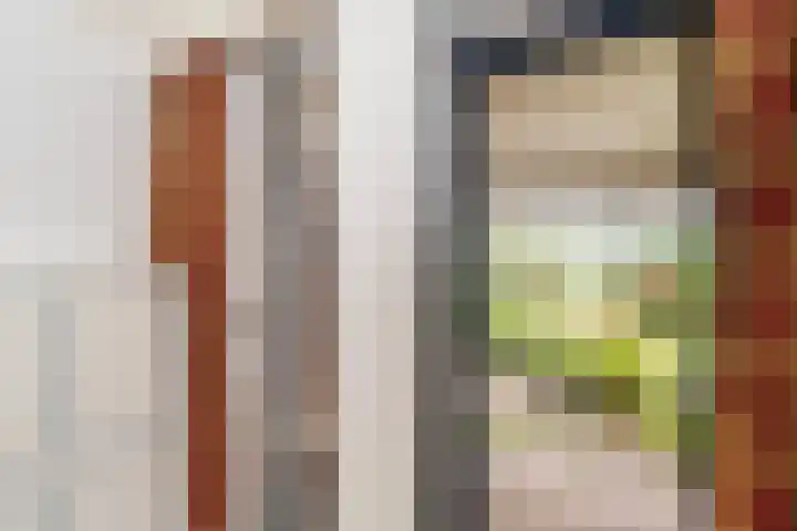 Lijsterbeslaan 15 Doesburg thumbnail 30
