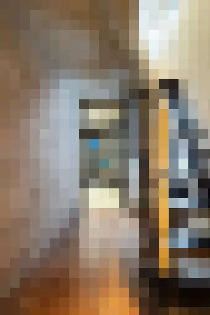 Lijsterbeslaan 15 Doesburg thumbnail 39