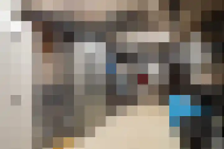 Lijsterbeslaan 15 Doesburg thumbnail 40