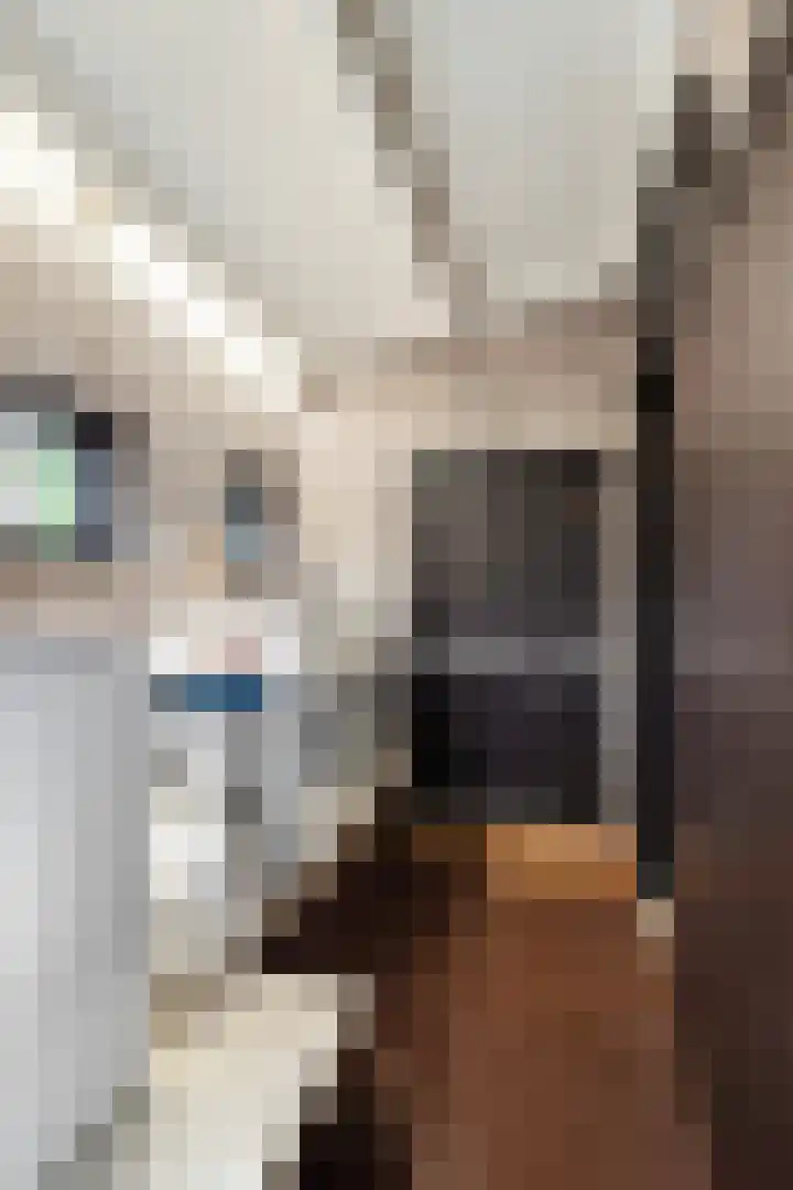 Lijsterbeslaan 15 Doesburg thumbnail 41