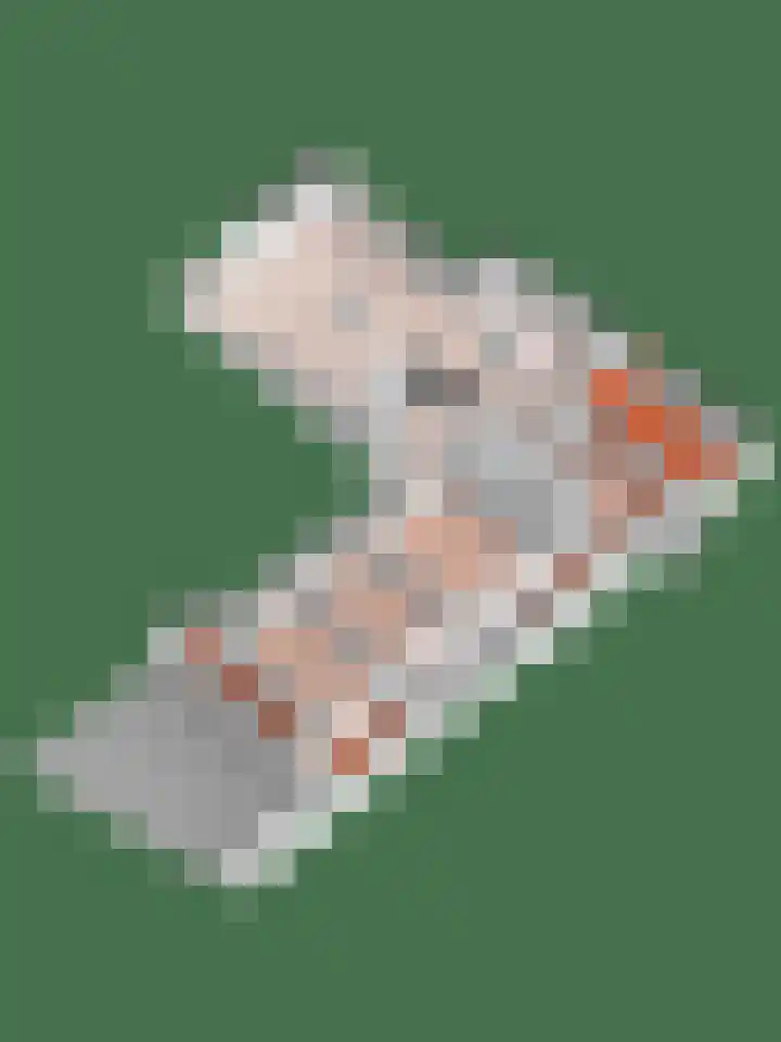 Lijsterbeslaan 15 Doesburg thumbnail 44
