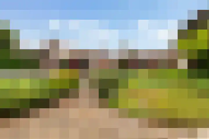 Lijsterbeslaan 15 Doesburg thumbnail 5