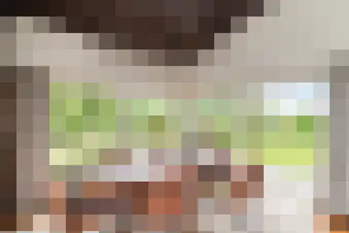 Lijsterbeslaan 15 Doesburg thumbnail 8