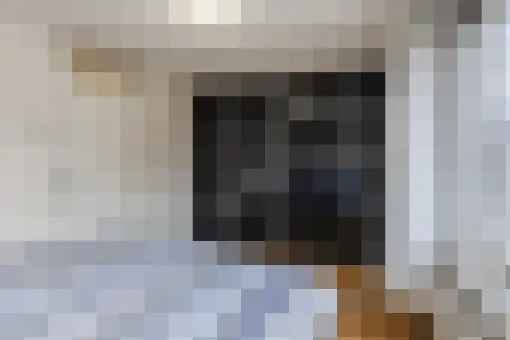 Lijsterbeslaan 15 Oisterwijk thumbnail 12