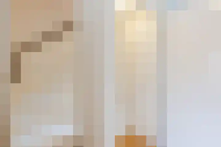 Lijsterbeslaan 15 Oisterwijk thumbnail 18