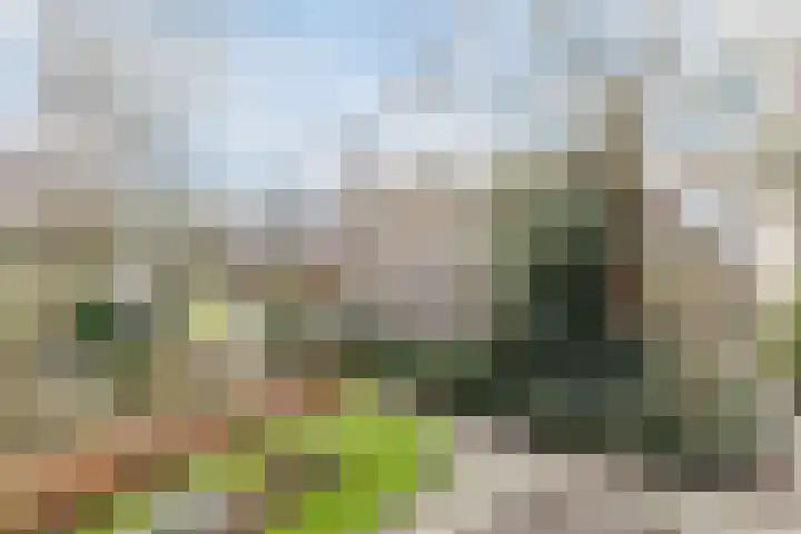 Lijsterbeslaan 15 Oisterwijk thumbnail 22
