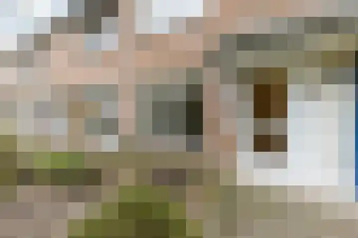 Lijsterbeslaan 15 Oisterwijk thumbnail 28