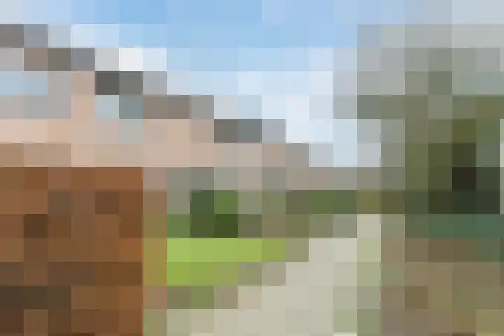 Lijsterbeslaan 15 Oisterwijk thumbnail 29