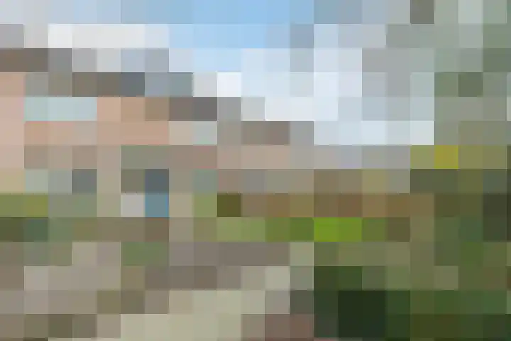 Lijsterbeslaan 15 Oisterwijk thumbnail 30