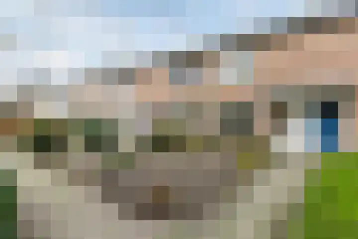 Lijsterbeslaan 15 Oisterwijk thumbnail 31