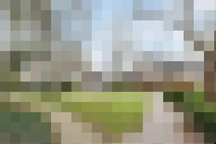Lijsterbeslaan 15 Oisterwijk thumbnail 33