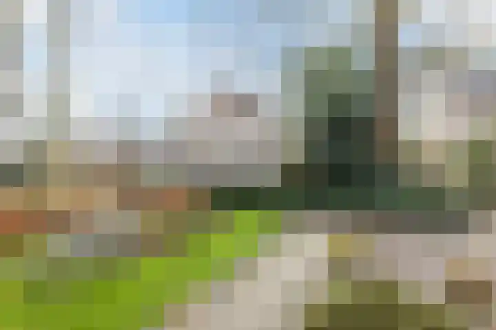 Lijsterbeslaan 15 Oisterwijk thumbnail 34