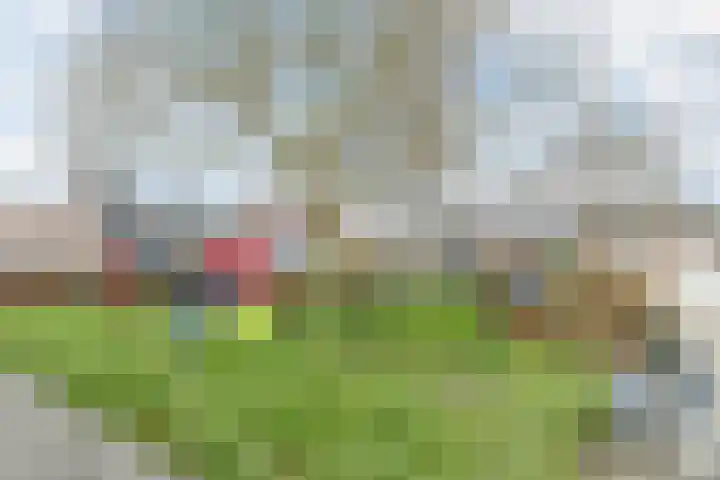 Lijsterbeslaan 15 Oisterwijk thumbnail 35