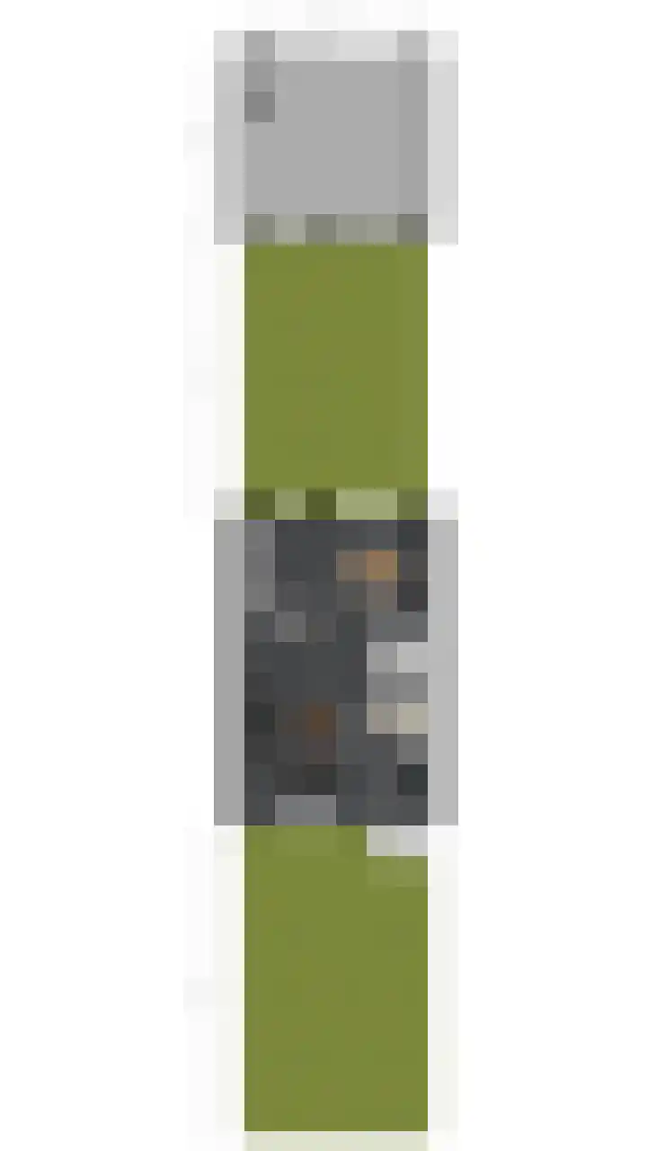 Lijsterbeslaan 15 Oisterwijk thumbnail 38