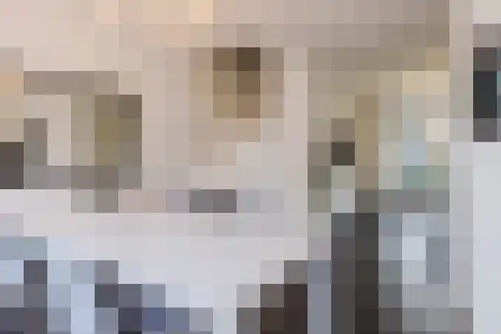 Lijsterbeslaan 15 Oisterwijk thumbnail 6