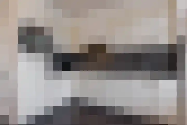 Lijsterbeslaan 15 Oisterwijk thumbnail 7