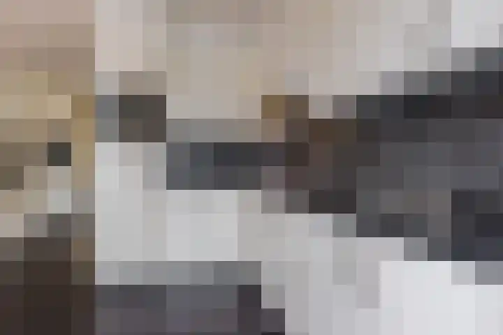 Lijsterbeslaan 15 Oisterwijk thumbnail 8