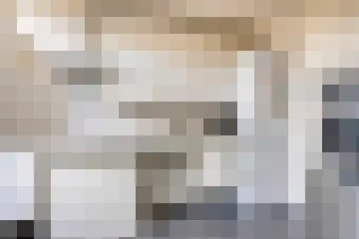 Lijsterbeslaan 15 Rozenburg thumbnail 10