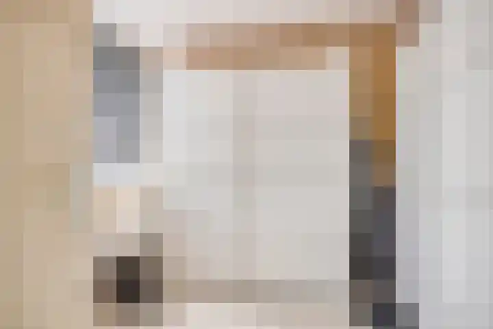 Lijsterbeslaan 15 Rozenburg thumbnail 15