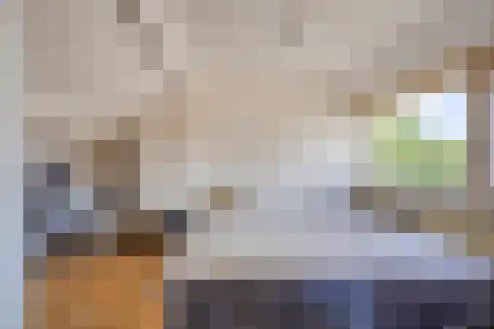 Lijsterbeslaan 15 Rozenburg thumbnail 18