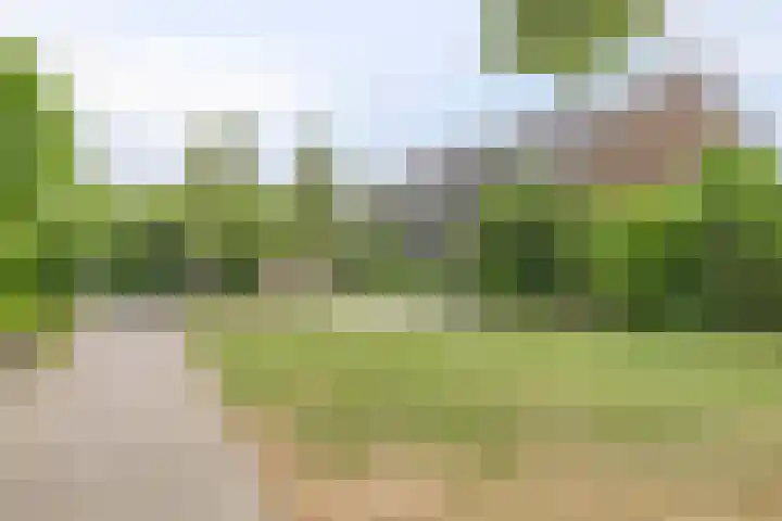 Lijsterbeslaan 15 Rozenburg thumbnail 22