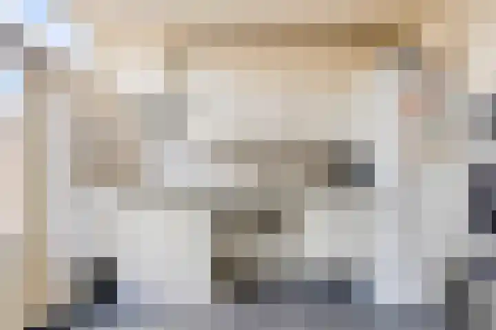 Lijsterbeslaan 15 Rozenburg thumbnail 9