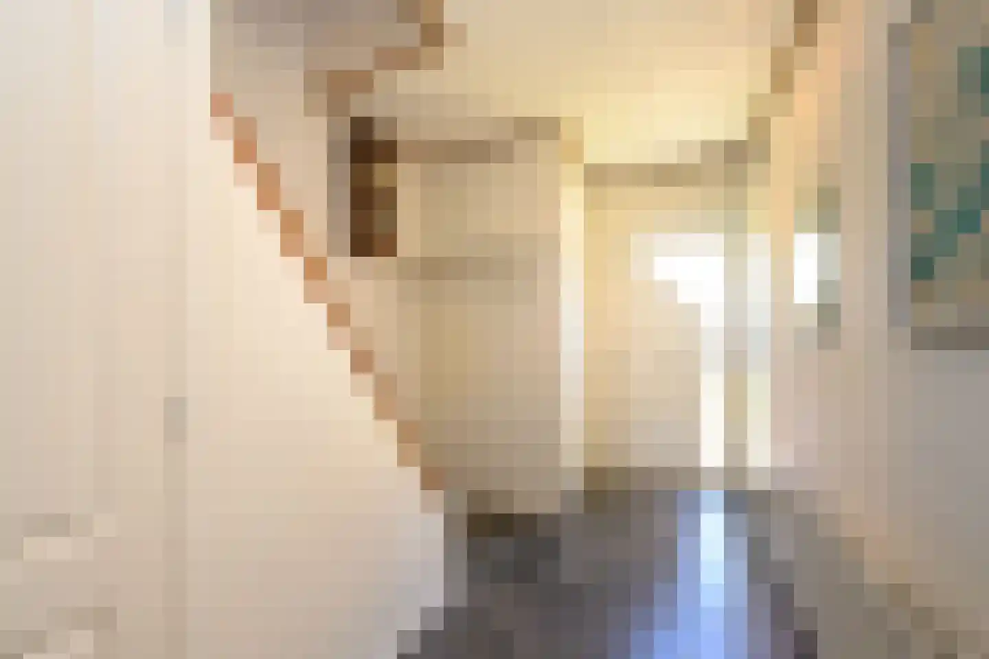 Lijsterbeslaan 16 Doesburg thumbnail 13