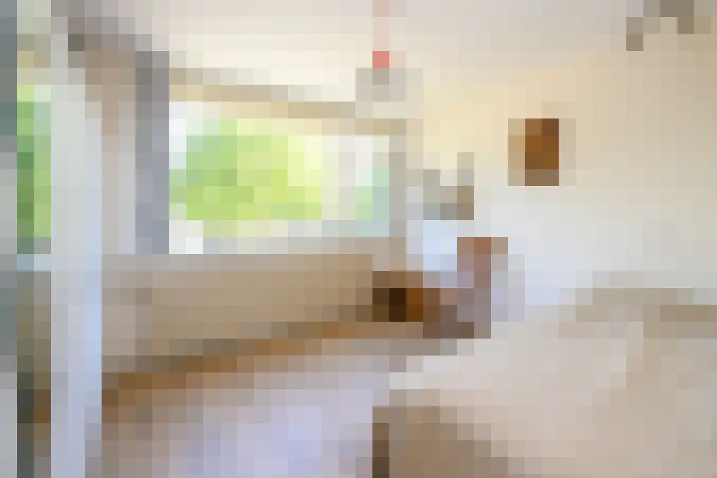 Lijsterbeslaan 16 Doesburg thumbnail 15