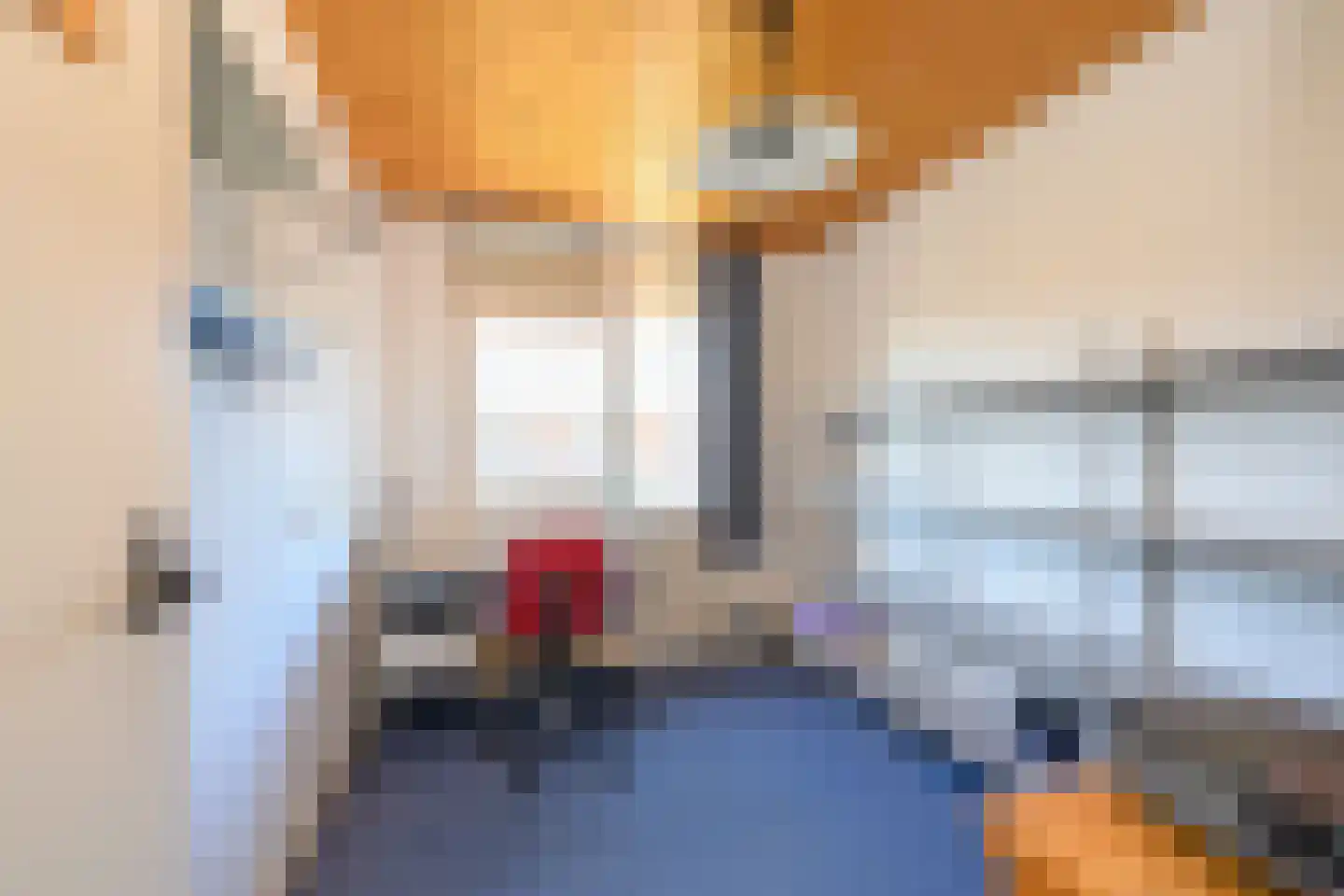 Lijsterbeslaan 16 Doesburg thumbnail 17