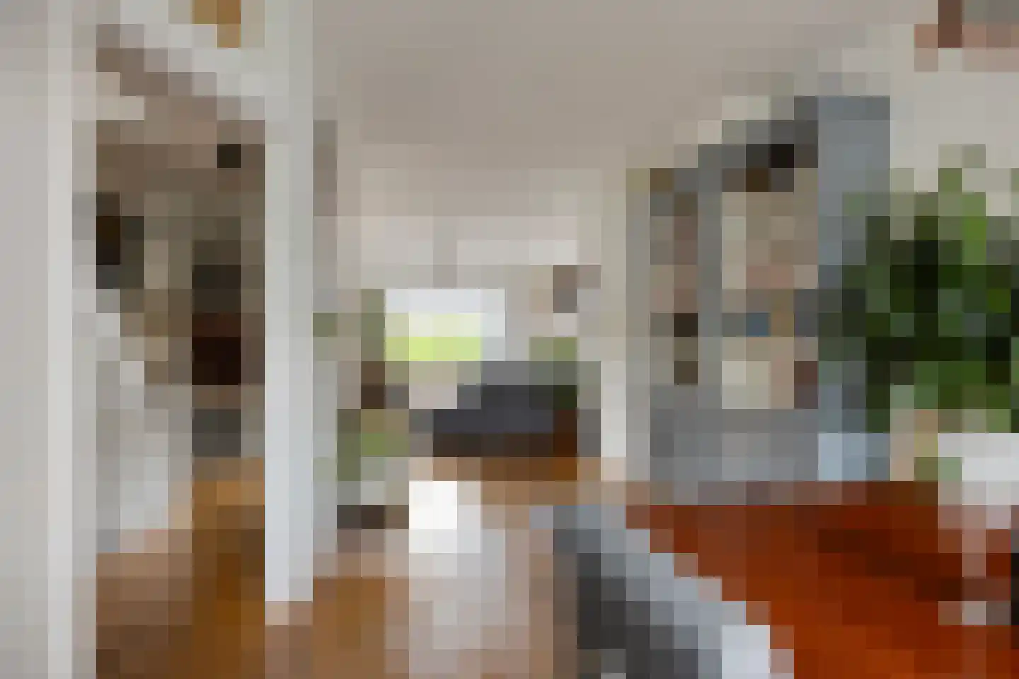 Lijsterbeslaan 16 Rijswijk thumbnail 11