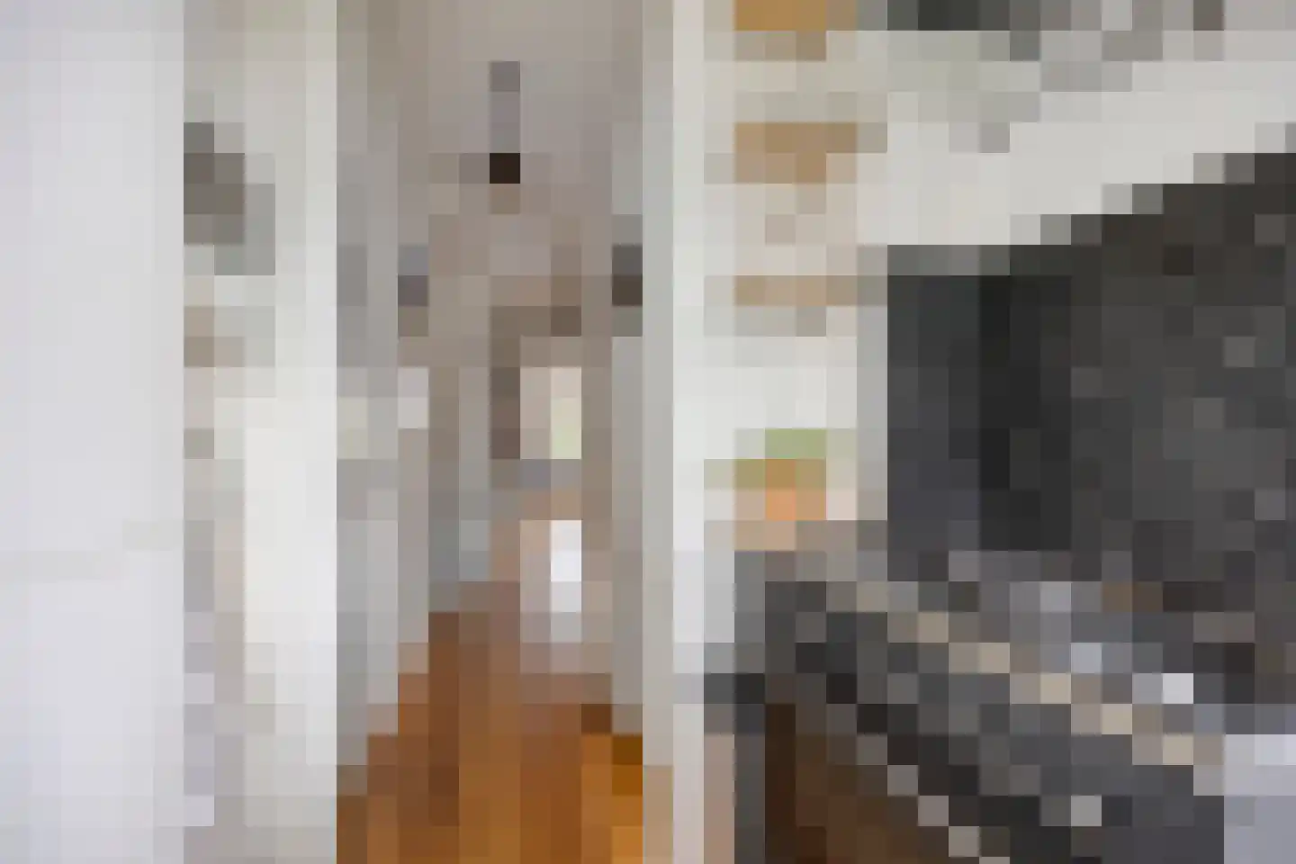 Lijsterbeslaan 16 Rijswijk thumbnail 12