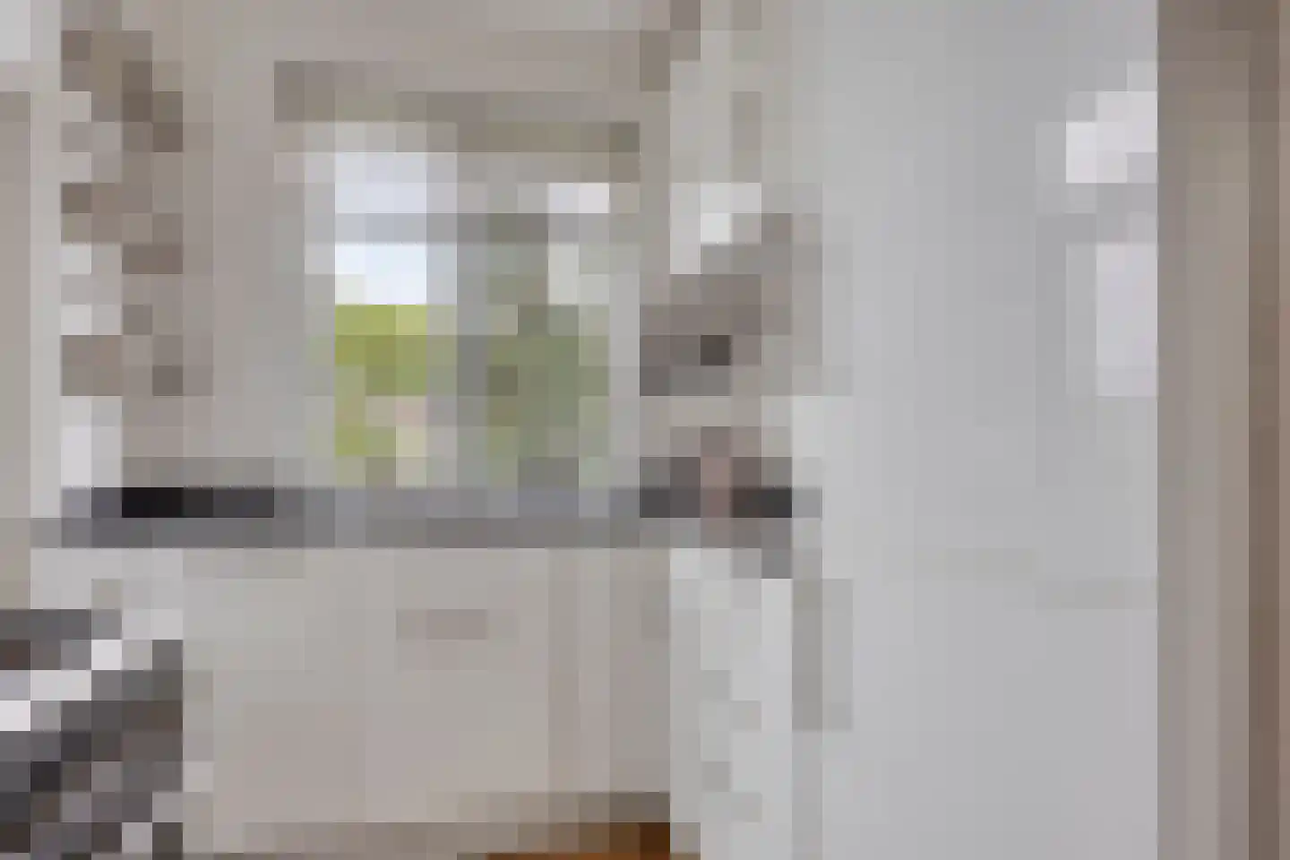 Lijsterbeslaan 16 Rijswijk thumbnail 14