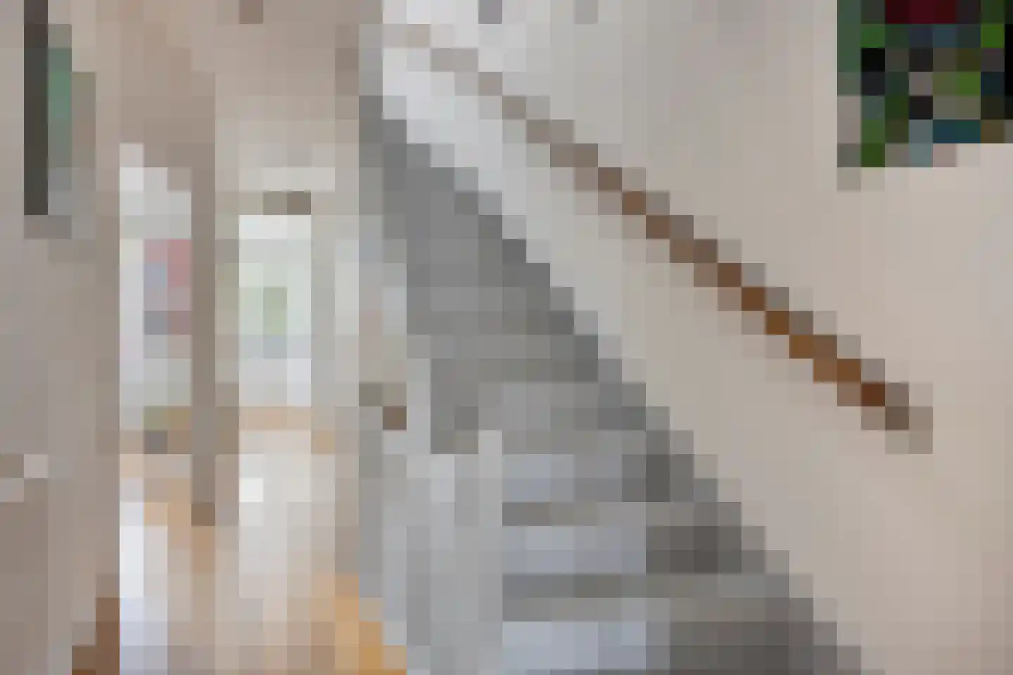 Lijsterbeslaan 16 Rijswijk thumbnail 16