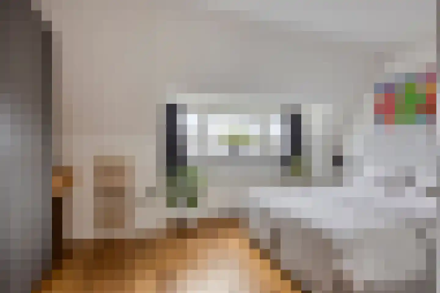 Lijsterbeslaan 16 Rijswijk thumbnail 18