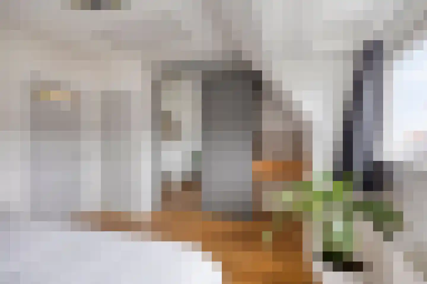 Lijsterbeslaan 16 Rijswijk thumbnail 20