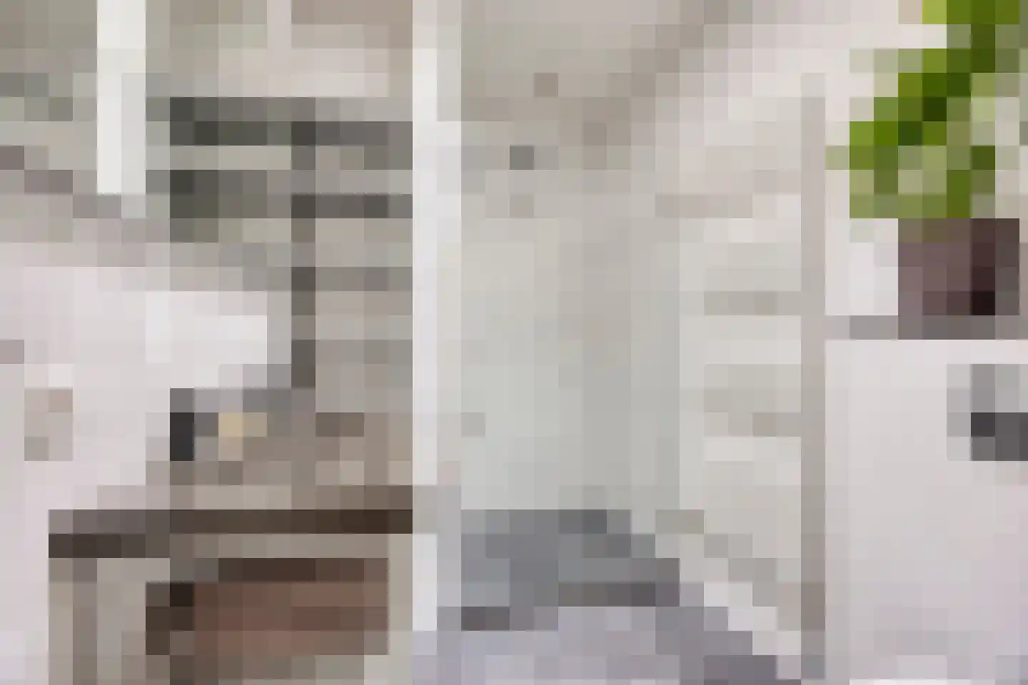 Lijsterbeslaan 16 Rijswijk thumbnail 22