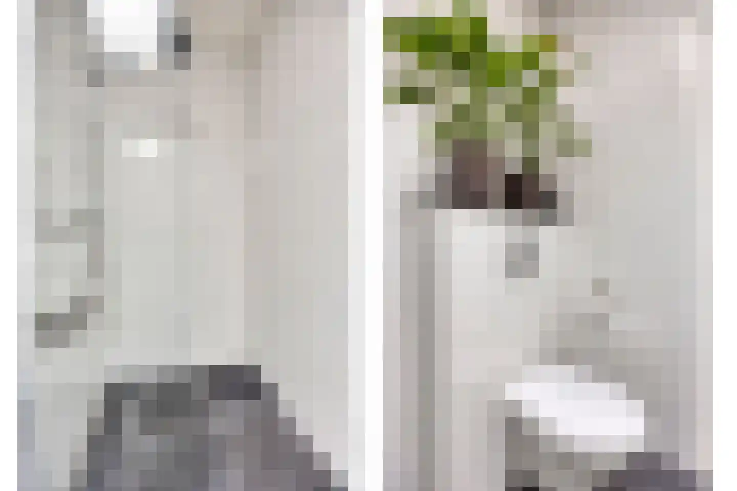 Lijsterbeslaan 16 Rijswijk thumbnail 23