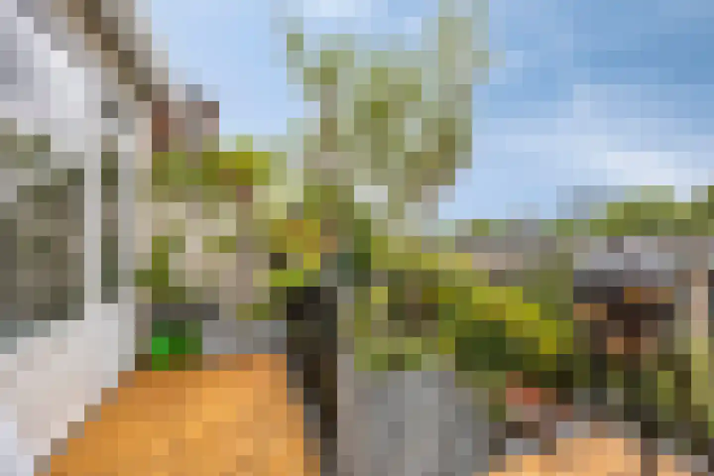 Lijsterbeslaan 16 Rijswijk thumbnail 28
