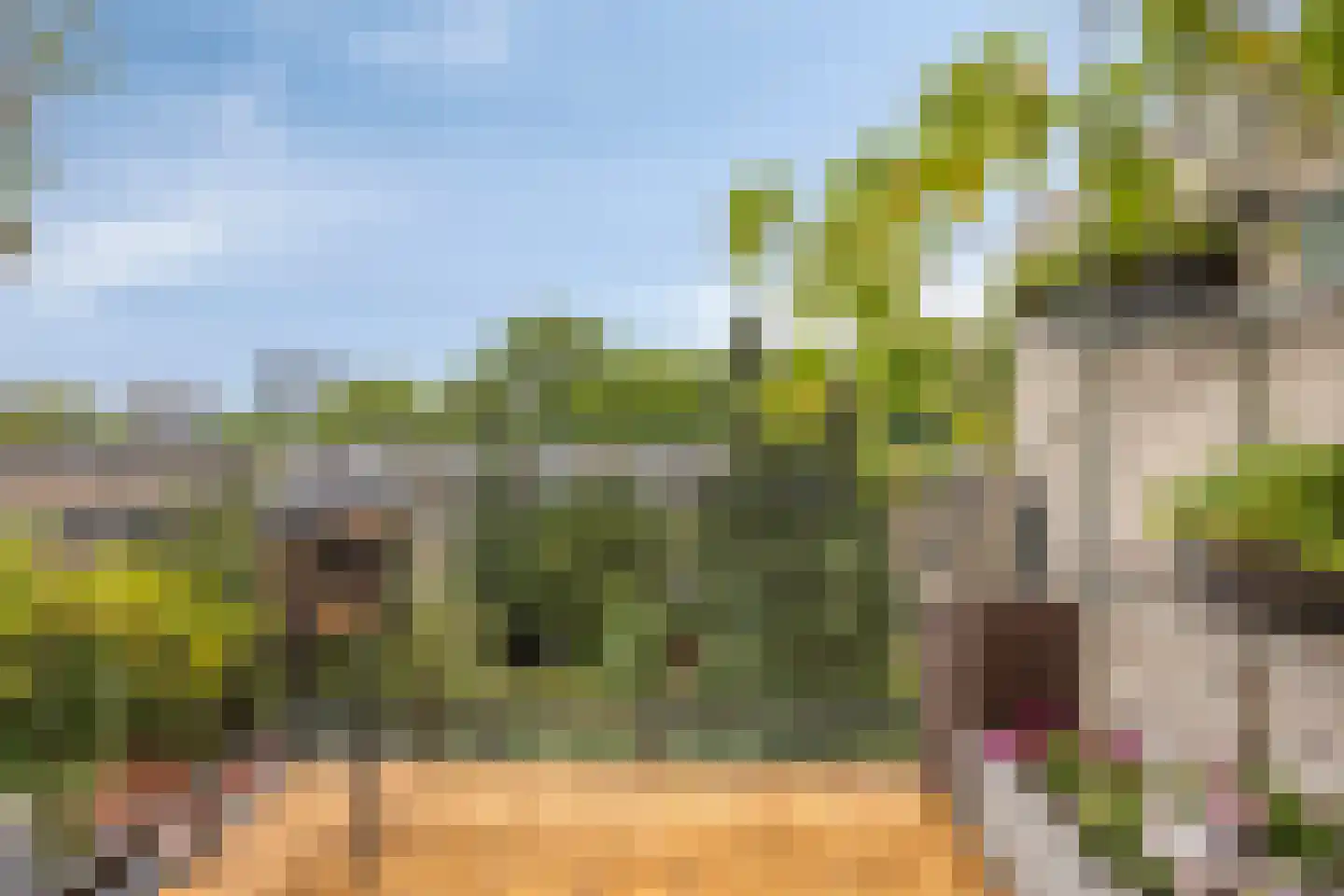 Lijsterbeslaan 16 Rijswijk thumbnail 29