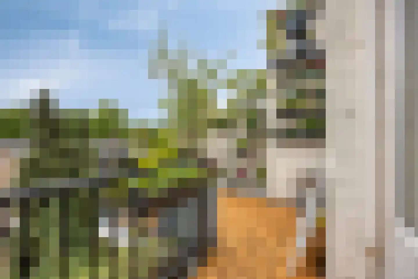 Lijsterbeslaan 16 Rijswijk thumbnail 30