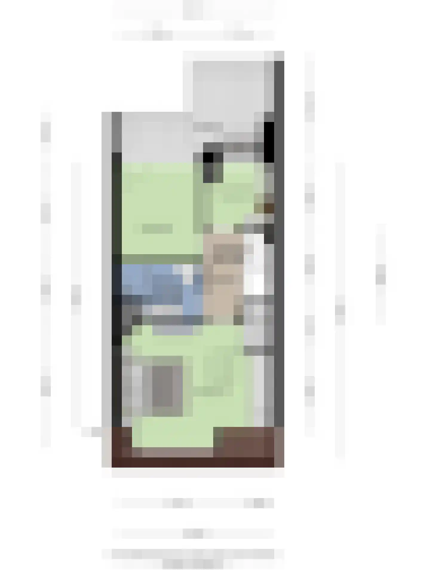 Lijsterbeslaan 16 Rijswijk thumbnail 34