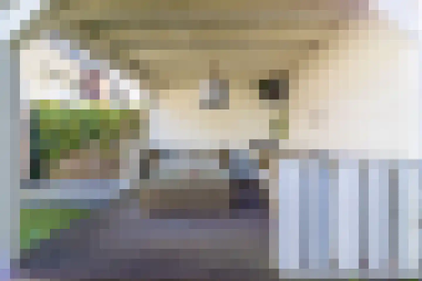 Lijsterbeslaan 16 Soest thumbnail 27
