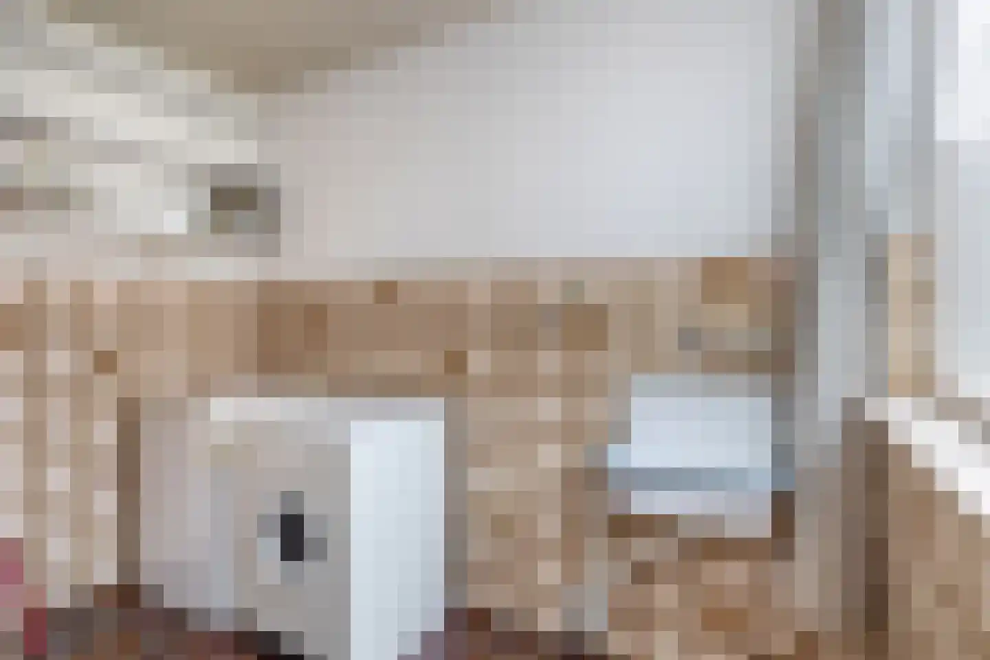 Lijsterbeslaan 162 Schijndel thumbnail 22