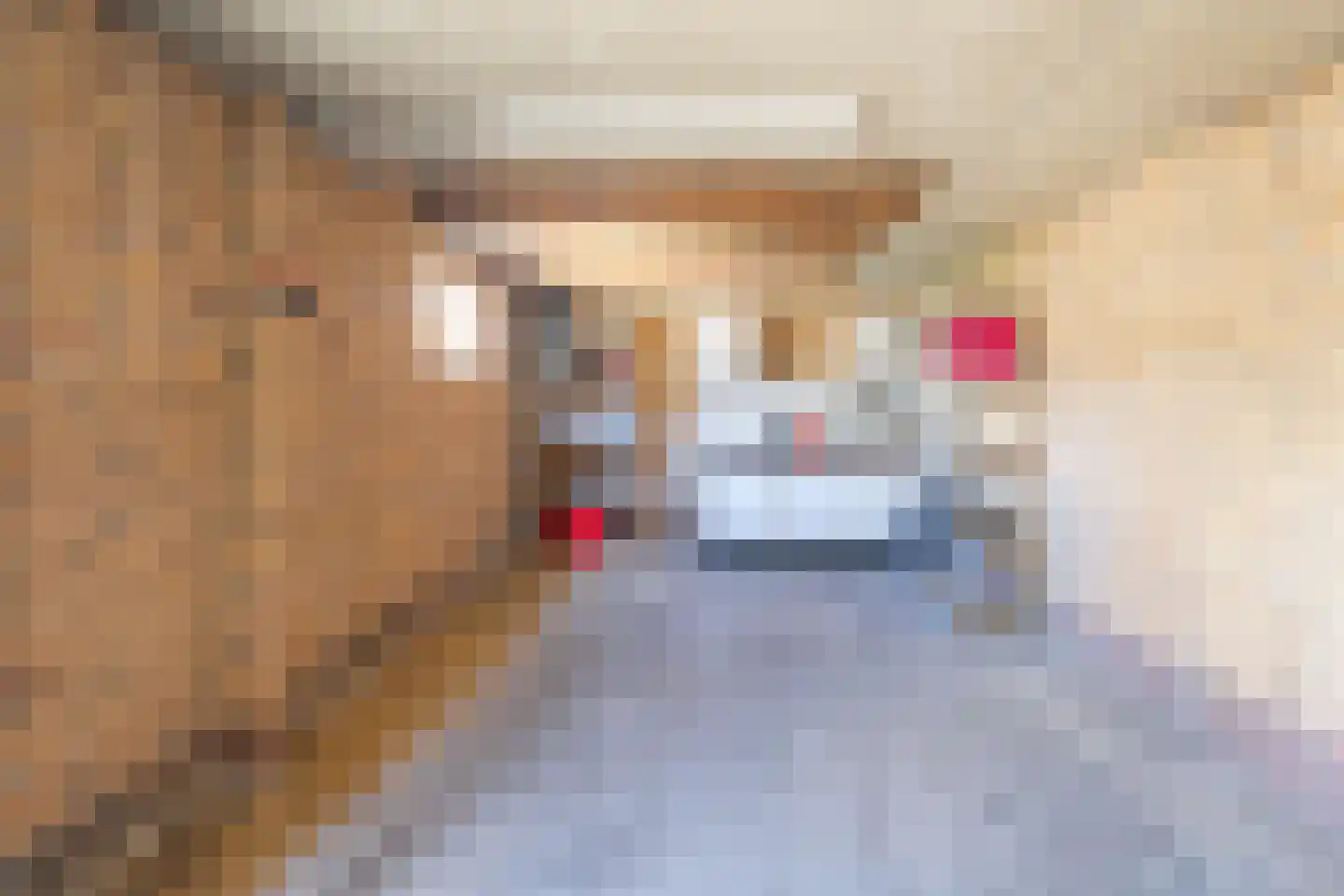 Lijsterbeslaan 17 Bunde thumbnail 18
