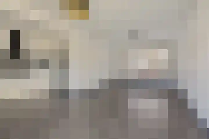 Lijsterbeslaan 17 Duiven thumbnail 12