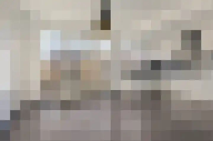 Lijsterbeslaan 17 Duiven thumbnail 16