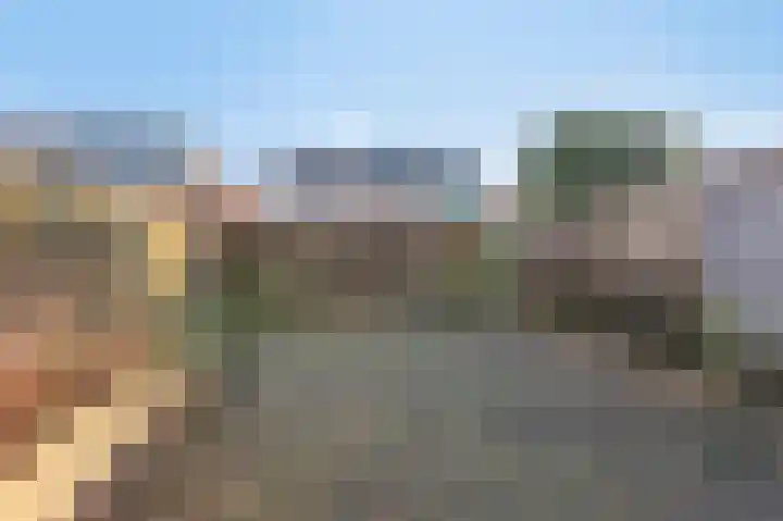 Lijsterbeslaan 17 Duiven thumbnail 22